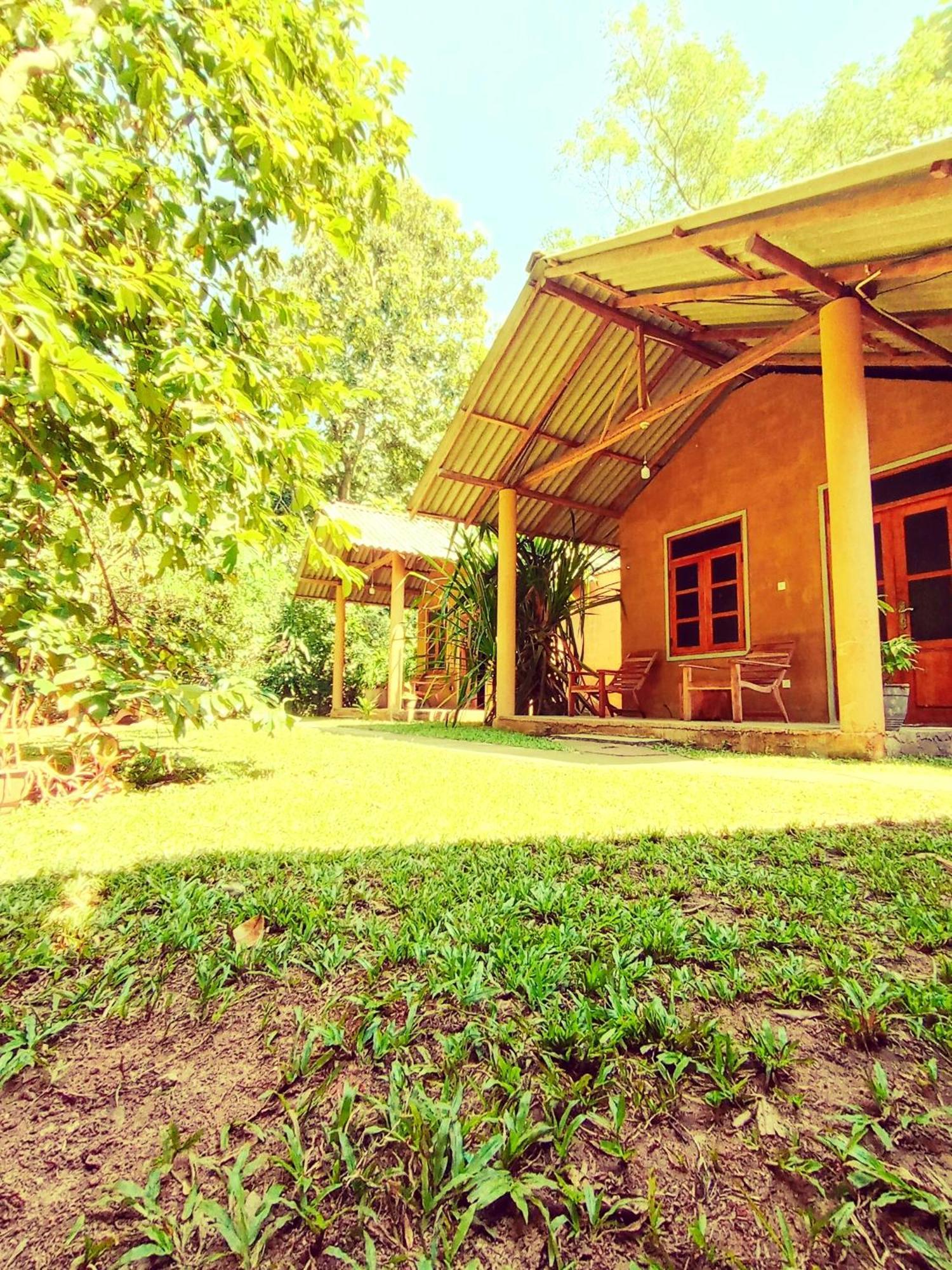 Monkey Jungle Cottage Udawalawe Exterior photo